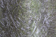 Llantilio Pertholey fibreglass roof work